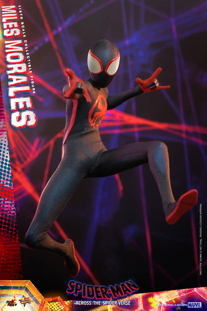 Hot Toys MMS710 Spider-man: Across The Spiderverse [Miles Morales] 1/6 Scale Collectible Figure
