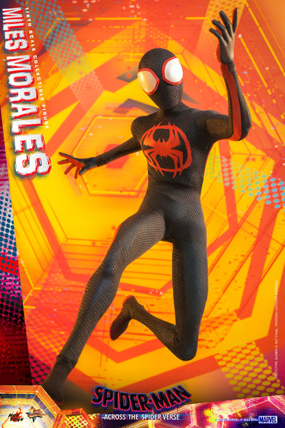 Hot Toys MMS710 Spider-man: Across The Spiderverse [Miles Morales] 1/6 Scale Collectible Figure