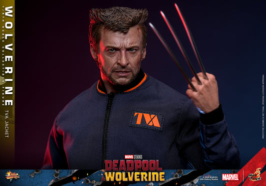(Preorder) Hot Toys MMS756 Marvel Deadpool and Wolverine [Wolverine] (Jacket Version) 1/6 Scale Collectible Figure