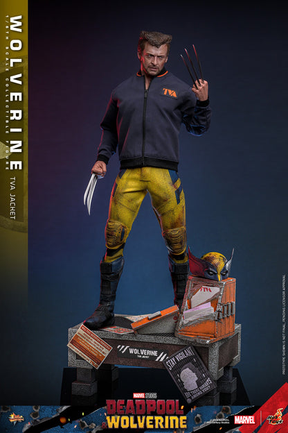 (Preorder) Hot Toys MMS756 Marvel Deadpool and Wolverine [Wolverine] (Jacket Version) 1/6 Scale Collectible Figure
