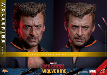 (Preorder) Hot Toys MMS756 Marvel Deadpool and Wolverine [Wolverine] (Jacket Version) 1/6 Scale Collectible Figure