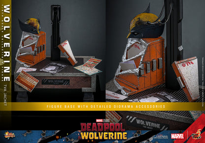 (Preorder) Hot Toys MMS756 Marvel Deadpool and Wolverine [Wolverine] (Jacket Version) 1/6 Scale Collectible Figure