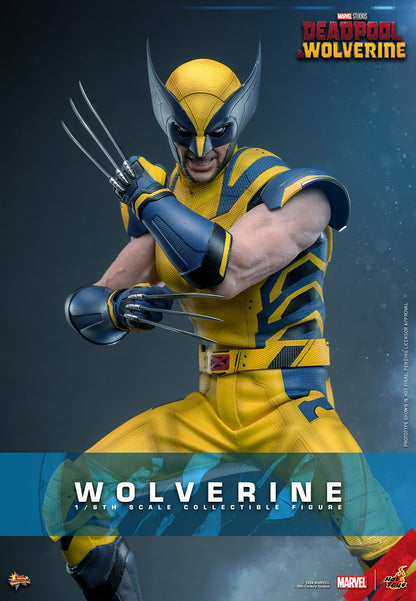 (Preorder) Hot Toys MMS754 Deadpool and Wolverine [Wolverine] 1/6 Scale Collectible Figure (Deluxe Edition)