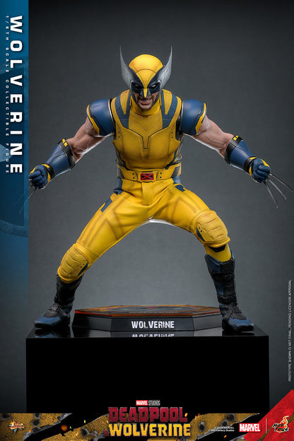 (Preorder) Hot Toys MMS754 Deadpool and Wolverine [Wolverine] 1/6 Scale Collectible Figure (Deluxe Edition)