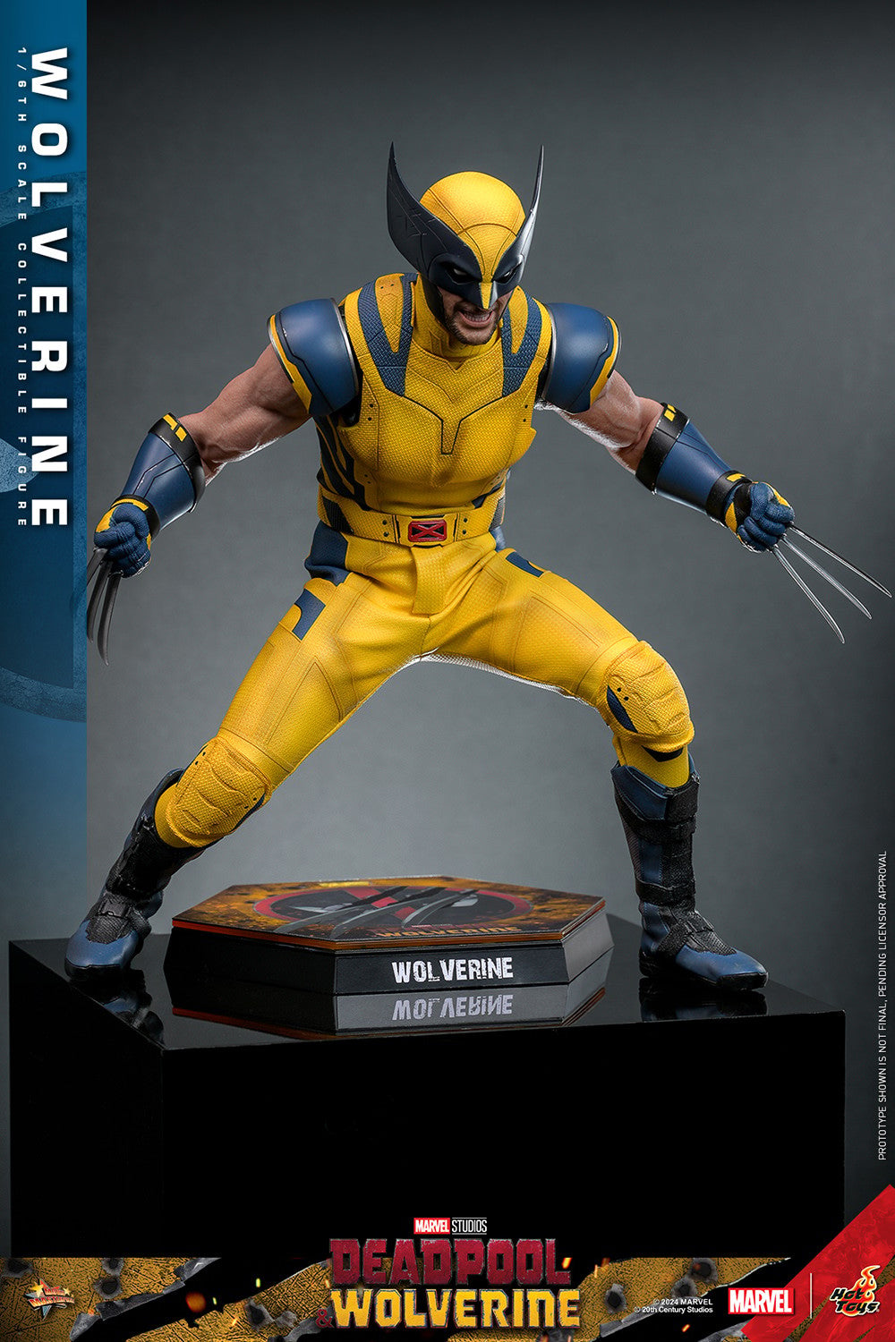 (Preorder) Hot Toys MMS754 Deadpool and Wolverine [Wolverine] 1/6 Scale Collectible Figure (Deluxe Edition)