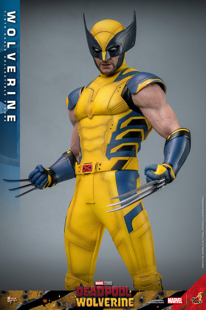 (Preorder) Hot Toys MMS754 Deadpool and Wolverine [Wolverine] 1/6 Scale Collectible Figure (Deluxe Edition)