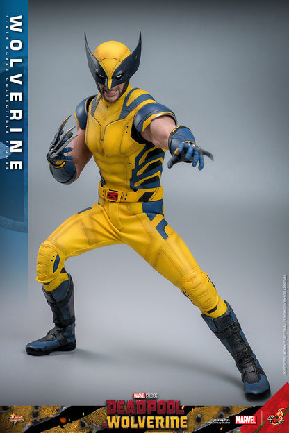 (Preorder) Hot Toys MMS754 Deadpool and Wolverine [Wolverine] 1/6 Scale Collectible Figure (Deluxe Edition)