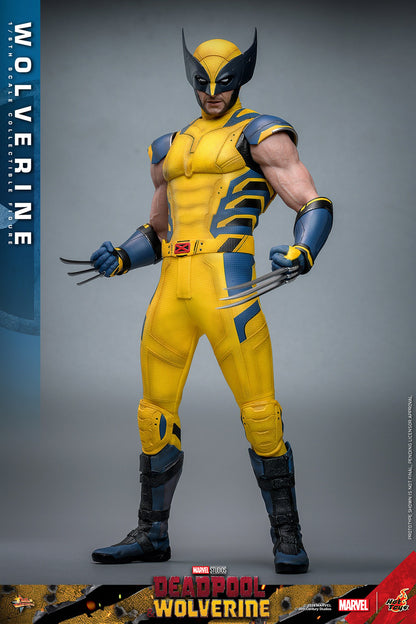 (Preorder) Hot Toys MMS754 Deadpool and Wolverine [Wolverine] 1/6 Scale Collectible Figure (Deluxe Edition)