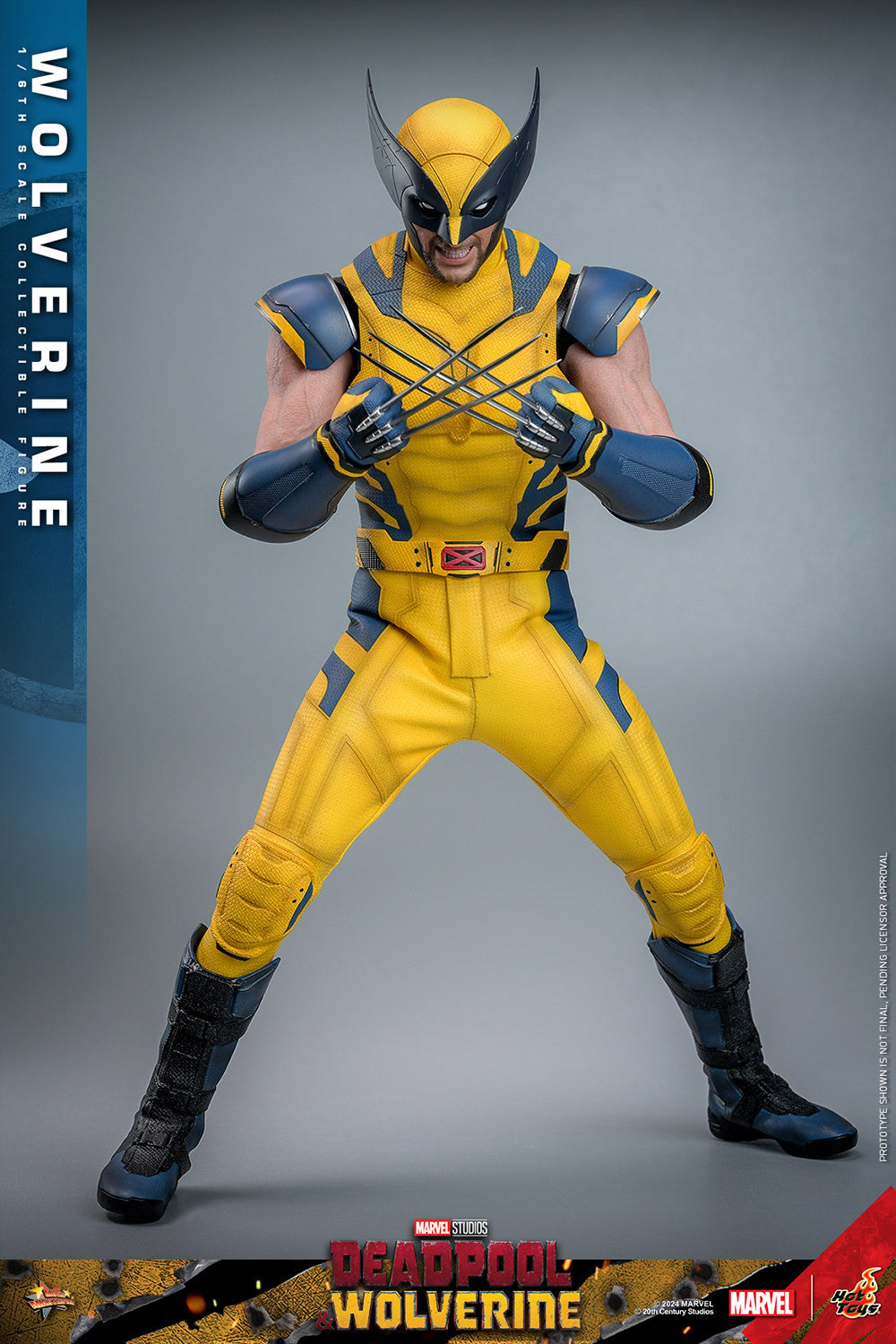 (Preorder) Hot Toys MMS754 Deadpool and Wolverine [Wolverine] 1/6 Scale Collectible Figure (Deluxe Edition)