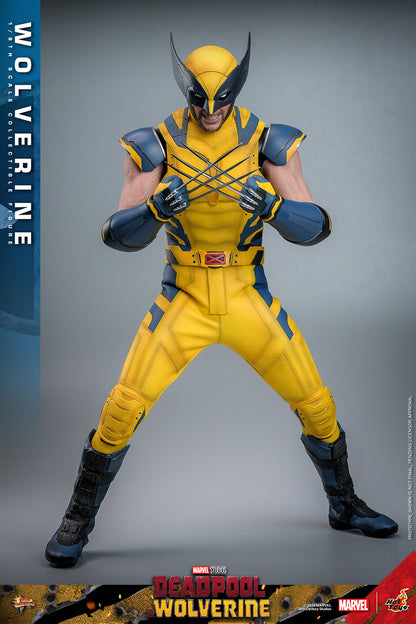 (Preorder) Hot Toys MMS754 Deadpool and Wolverine [Wolverine] 1/6 Scale Collectible Figure (Deluxe Edition)