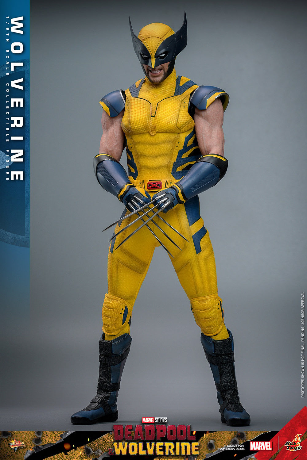 (Preorder) Hot Toys MMS754 Deadpool and Wolverine [Wolverine] 1/6 Scale Collectible Figure (Deluxe Edition)