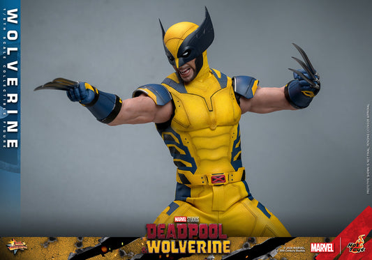 (Preorder) Hot Toys MMS754 Deadpool and Wolverine [Wolverine] 1/6 Scale Collectible Figure (Deluxe Edition)