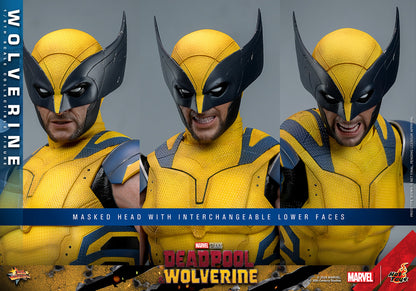 (Preorder) Hot Toys MMS754 Deadpool and Wolverine [Wolverine] 1/6 Scale Collectible Figure (Deluxe Edition)