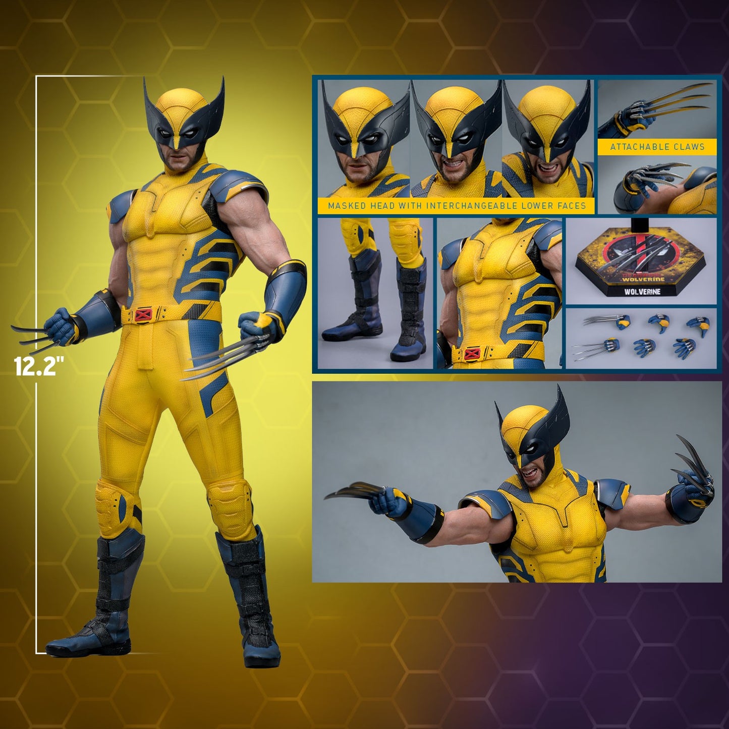 (Preorder) Hot Toys MMS754 Deadpool and Wolverine [Wolverine] 1/6 Scale Collectible Figure (Deluxe Edition)